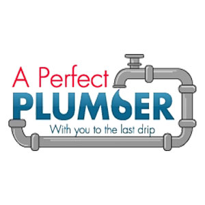Picture of A Perfect Plumber