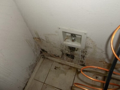 I Never Knew How Much Damage Water Could Cause